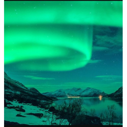 sea-cum-light-500x500